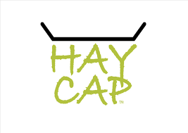 HUMBERTON GROUP (HAYCAP)