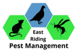 EAST RIDING PEST MANAGEMENT